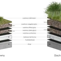 Przekrój dachu ekstensywnego i intensywnego z zielonym dachem, pokazujący warstwy: roślinność, substrat, filtr, drenaż, ochronę, izolację i hydroizolację.