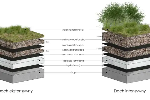 Przekrój dachu ekstensywnego i intensywnego z zielonym dachem, pokazujący warstwy: roślinność, substrat, filtr, drenaż, ochronę, izolację i hydroizolację.