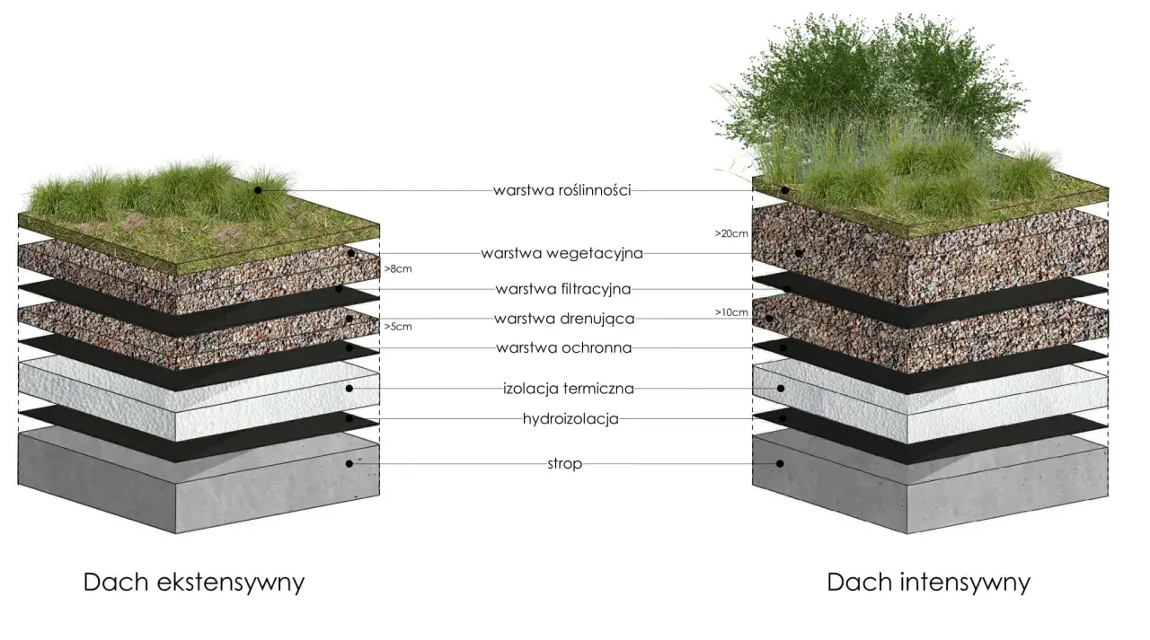 Przekrój dachu ekstensywnego i intensywnego z zielonym dachem, pokazujący warstwy: roślinność, substrat, filtr, drenaż, ochronę, izolację i hydroizolację.